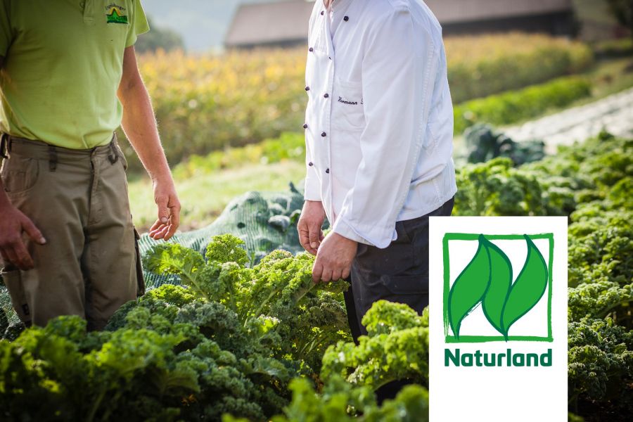 Fürstenfelder › Jobs